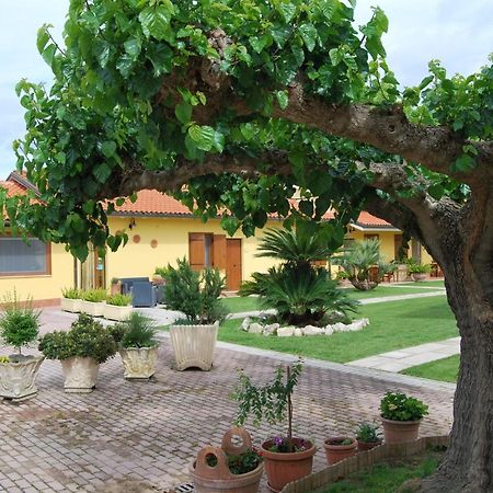 Bed and Breakfast Le Terre Di Bac Борго-Монтенеро Экстерьер фото
