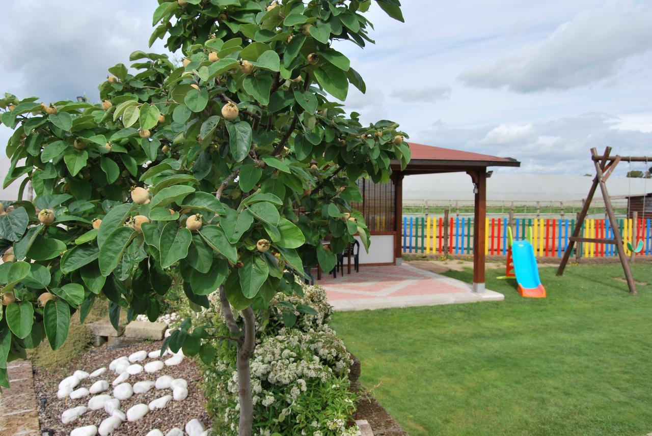 Bed and Breakfast Le Terre Di Bac Борго-Монтенеро Экстерьер фото
